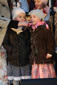 Fragment występu Zespołu "Wisła"